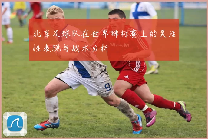 北京足球队在世界锦标赛上的灵活性表现与战术分析