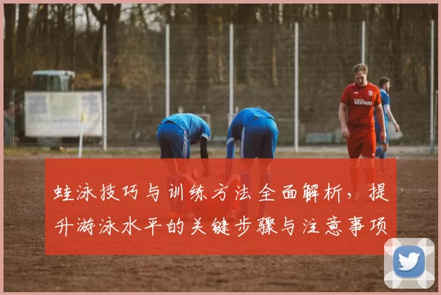 蛙泳技巧与训练方法全面解析，提升游泳水平的关键步骤与注意事项