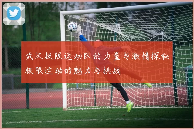 武汉极限运动队的力量与激情探秘极限运动的魅力与挑战