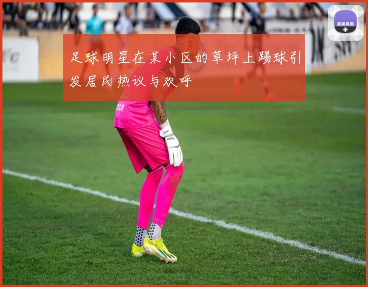 足球明星在某小区的草坪上踢球引发居民热议与欢呼