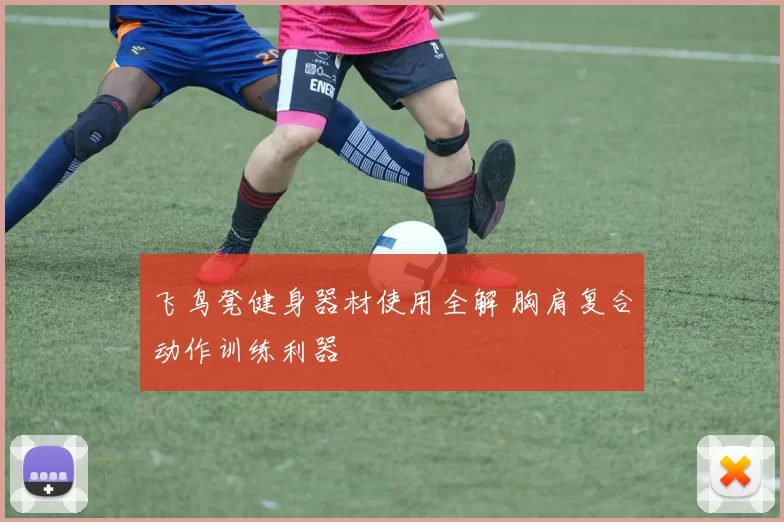 飞鸟凳健身器材使用全解 胸肩复合动作训练利器