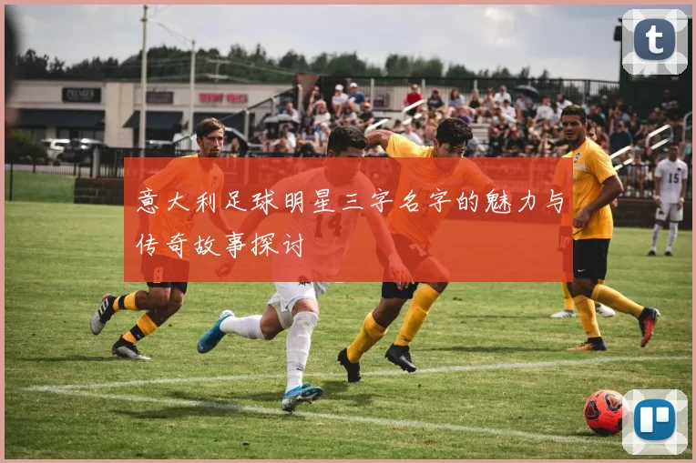 意大利足球明星三字名字的魅力与传奇故事探讨
