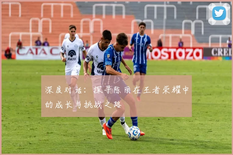 深度对话：探寻陈丽在王者荣耀中的成长与挑战之路