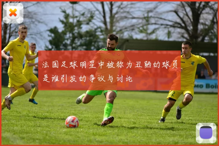 法国足球明星中被称为丑陋的球员是谁引发的争议与讨论