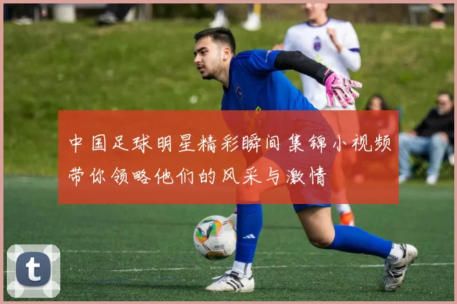 中国足球明星精彩瞬间集锦小视频带你领略他们的风采与激情